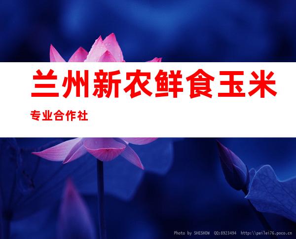 兰州新农鲜食玉米专业合作社